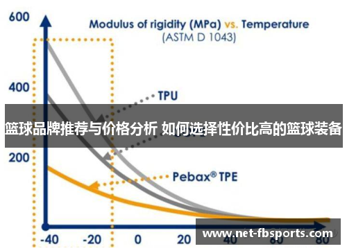 篮球品牌推荐与价格分析 如何选择性价比高的篮球装备