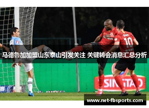 马德鲁加加盟山东泰山引发关注 关键转会消息汇总分析 马德鲁加加盟山东泰山引发关注 关键转会消息汇总分析