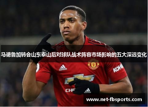 马德鲁加转会山东泰山后对球队战术阵容市场影响的五大深远变化