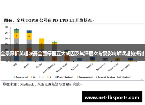 全景深析英超联赛全面停摆五大成因及其深层次背景影响解读趋势探讨