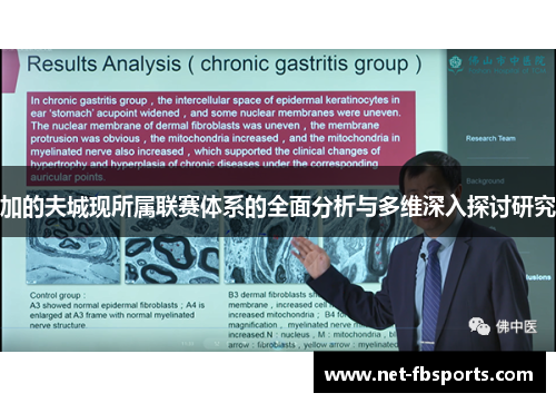 加的夫城现所属联赛体系的全面分析与多维深入探讨研究 加的夫城现所属联赛体系的全面分析与多维深入探讨研究