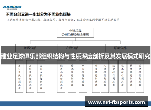 建业足球俱乐部组织结构与性质深度剖析及其发展模式研究